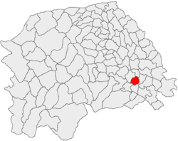 Falticeni jud Suceava